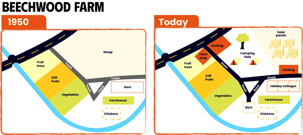 Giải đề IELTS Writing Task 1: Beechwood Farm Maps