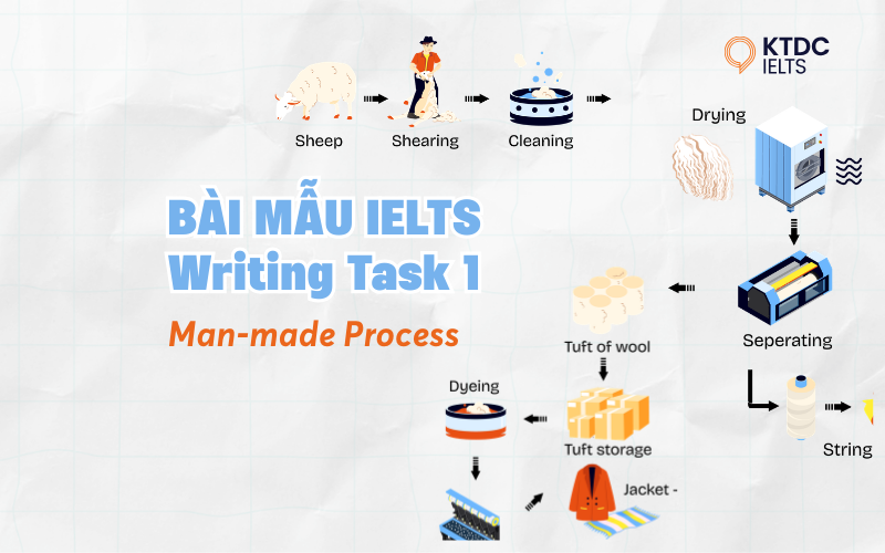 Bài mẫu IELTS Writing Task 1 dạng bài Process – Chủ đề Wool Products (Band 8)